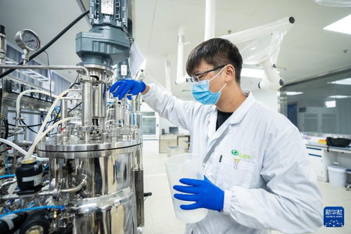 湖南津市 生物制造產業加速發展，技術推廣引領產業升級
