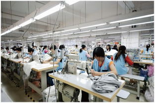 越南6月份服裝及紡織生產(chǎn)穩(wěn)步增長(zhǎng)，金屬材料銷售表現(xiàn)穩(wěn)健